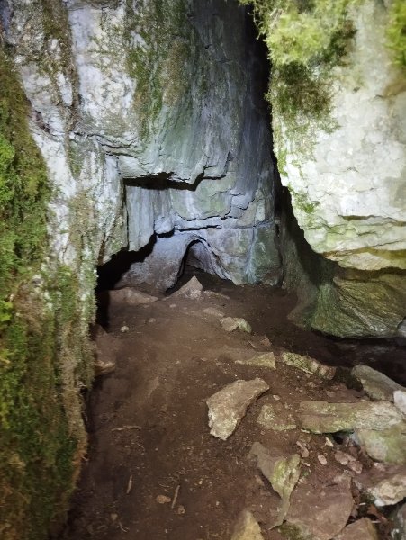 Fleurey-sur-Ouche - grotte 1 de la combe Morcueil - entrée cavité photo 2, Aurélien Bloch.jpg
Vue rapprochée;
Fichier manquant